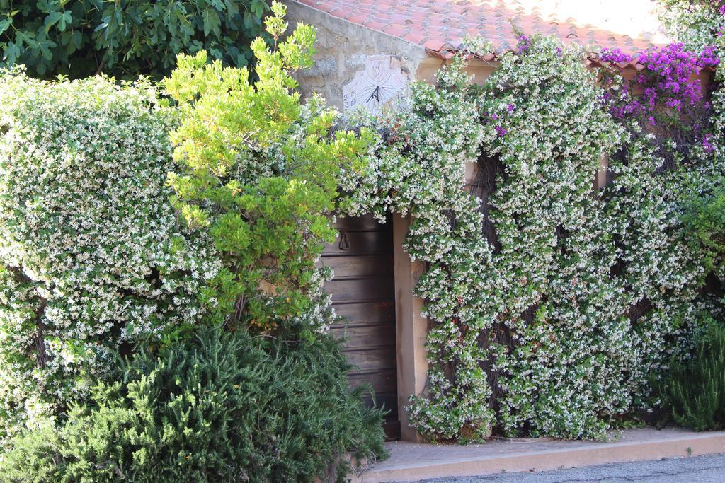 La Porta Sulla Costa Bed & Breakfast San Pantaleo Exterior photo